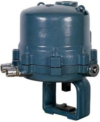 瑞浦3810直行程調(diào)節(jié)型電子式電動執(zhí)行器生產(chǎn)廠家